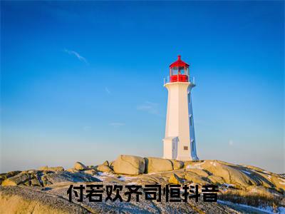 付若欢齐司恒（付若欢齐司恒）完结版小说-付若欢齐司恒小说全文阅读
