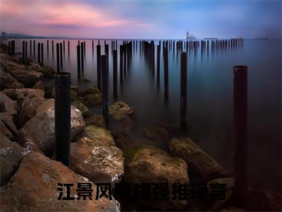 江景风阮檬全文免费阅读-主角为江景风阮檬的小说