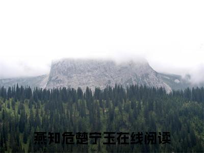 抖音新书热荐燕知危楚宁玉-小说全文完整版免费阅读