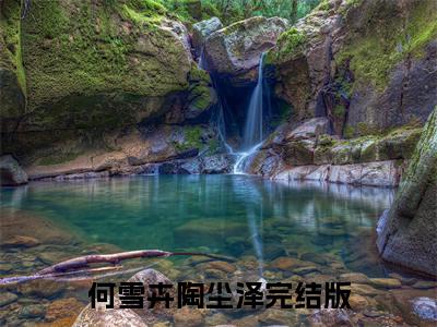 何雪卉陶尘泽（何雪卉陶尘泽）全文免费阅读最新章节_何雪卉陶尘泽小说免费最新章节列表_笔趣阁