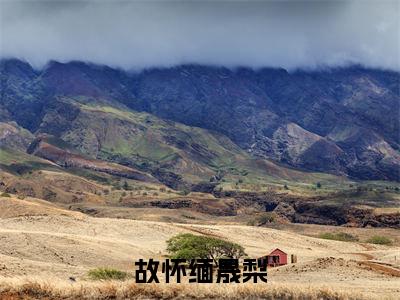 故怀缅晟梨首发小说 故怀缅晟梨在线阅读
