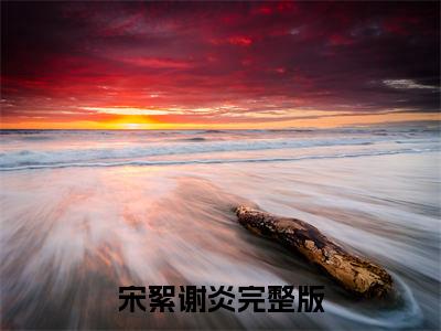 宋絮谢炎（宋絮谢炎）全文免费阅读无弹窗_宋絮谢炎最新小说_笔趣阁（宋絮谢炎）