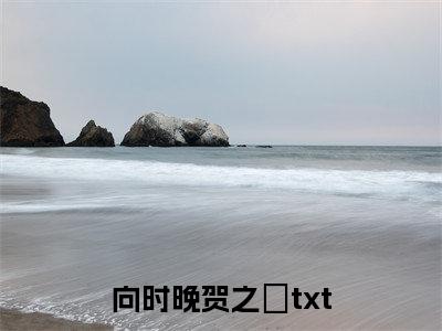 向时晚贺之旸全文免费阅读_（向时晚贺之旸小说）向时晚贺之旸言情小说在线阅读笔趣阁