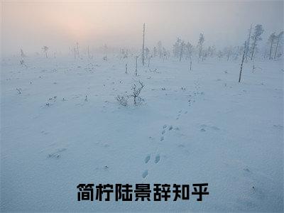 简柠陆景辞小说（简柠陆景辞）无弹窗大结局- 简柠陆景辞全文阅读