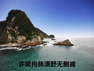 许棠舟林清野全文免费阅读小说今日已更新最新章节_许棠舟林清野全文免费阅读最新章节列表