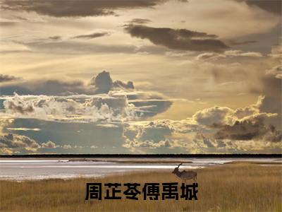 周芷苓傅禹城（周芷苓傅禹城）全文免费阅读无弹窗大结局_(周芷苓傅禹城免费阅读)周芷苓傅禹城无弹窗最新章节列表_笔趣阁（周芷苓傅禹城）