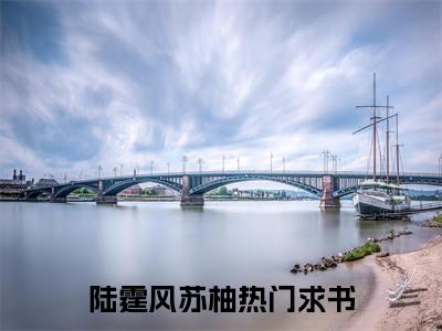 百分爆评热文陆霆风苏柚_陆霆风苏柚小说无弹窗在线阅读