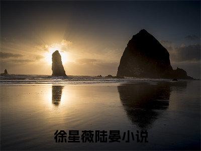高赞小说（徐星薇陆晏）完结阅读_徐星薇陆晏全文完整版免费阅读最新章节列表