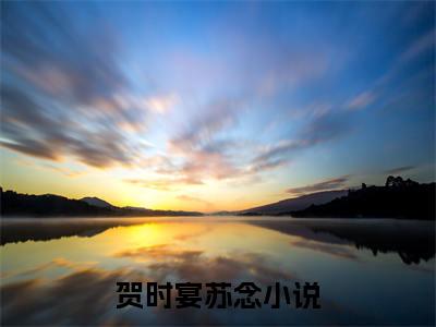 贺时宴苏念小说免费大结局全集免费阅读 贺时宴苏念章节目录