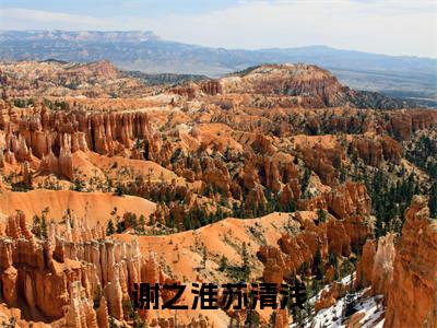 谢之淮苏清浅全文免费大结局-谢之淮苏清浅（谢之淮苏清浅）结局在线阅读