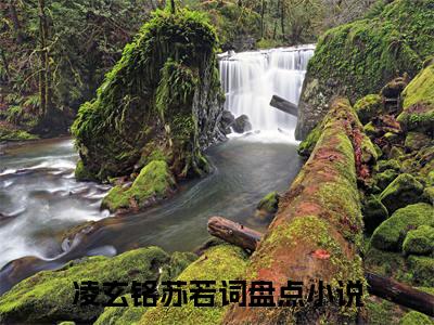 凌玄铭苏若词(凌玄铭苏若词)小说免费阅读-凌玄铭苏若词（凌玄铭苏若词）全文阅读-笔趣阁（凌玄铭苏若词）