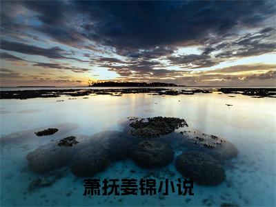 主角是萧抚姜锦的小说-（萧抚姜锦）完整章节阅读