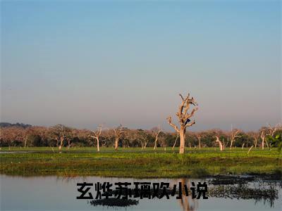 玄烨苏璃欢（玄烨苏璃欢）小说全文免费阅读无弹窗大结局_（玄烨苏璃欢免费阅读）最新章节列表笔趣阁