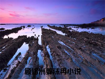 顾铭洲姜沫冉小说在线阅读（顾铭洲姜沫冉）全文免费阅读大结局_顾铭洲姜沫冉最新章节列表笔趣阁