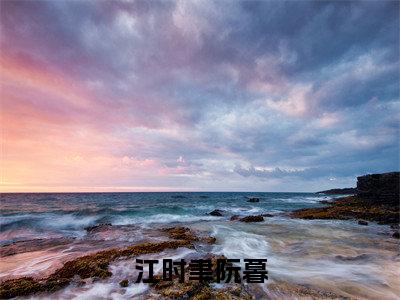 小说免费阅读-抖音新书热荐江时聿阮暮
