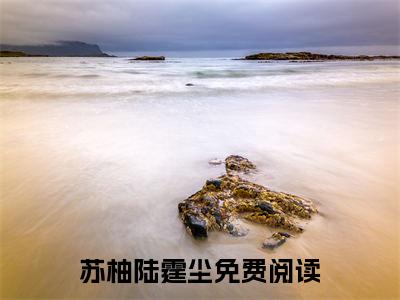 苏柚陆霆尘全文免费阅读无弹窗大结局-苏柚陆霆尘无弹窗阅读