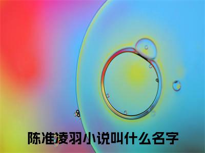多雨之地小说在线阅读全文无弹窗_陈准凌羽小说最新全文完整无删减版