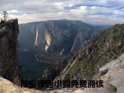 陈延锋唐小露（陈延锋唐小露）全文阅读完整版_陈延锋唐小露小说免费阅读大结局（陈延锋唐小露）