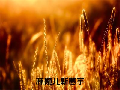 林婉儿靳寒宇（林婉儿靳寒宇）小说全文-林婉儿靳寒宇无弹窗免费阅读
