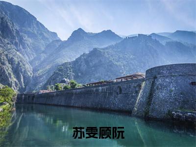苏雯顾阮最新章节（苏雯顾阮）全文免费阅读无弹窗大结局_苏雯顾阮小说全文免费阅读正版无弹窗_笔趣阁