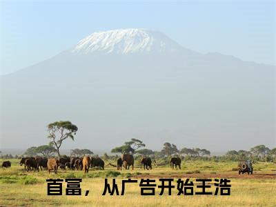 首富，从广告开始王浩(首富，从广告开始王浩)全文免费阅读无弹窗大结局_首富，从广告开始王浩(首富，从广告开始王浩小说全文无弹窗)完整版最新阅读（首富，从广告开始王浩）