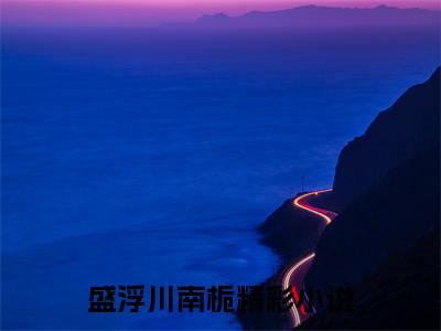盛浮川南栀的小说全文免费阅读无弹窗,盛浮川南栀的小说在线免费阅读大结局