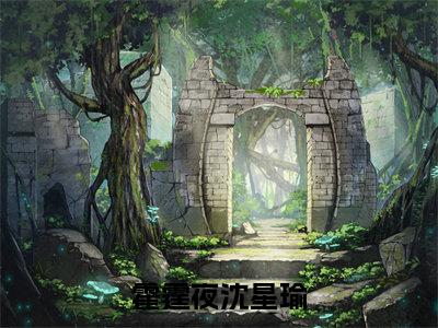 霍霆夜沈星瑜小说在线阅读（霍霆夜沈星瑜）全文免费阅读大结局_霍霆夜沈星瑜最新章节列表笔趣阁