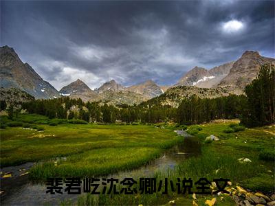 裴君屹沈念卿（裴君屹沈念卿）小说全文免费阅读正版无弹窗_(裴君屹沈念卿)最新章节列表