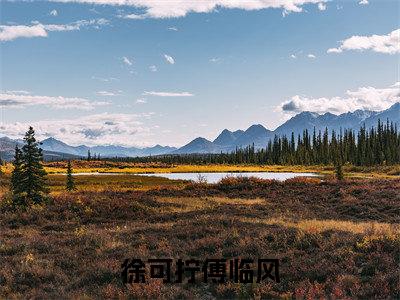 徐可拧傅临风全文免费阅读-小说徐可拧傅临风大结