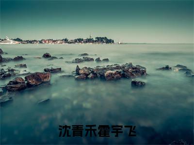 沈青禾霍宇飞精选小说大结局阅读_沈青禾霍宇飞免费阅读最新章节列表
