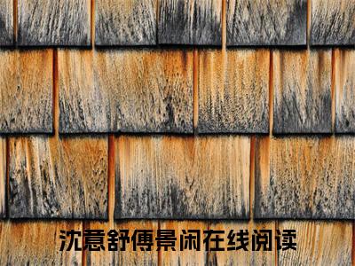 沈意舒傅景闲（沈意舒傅景闲）全文免费阅读无弹窗大结局_沈意舒傅景闲在线阅读（沈意舒傅景闲）