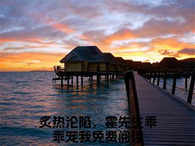 炙热沦陷，霍先生乖乖宠我是什么小说霍垣江心-（霍垣江心全文阅读）最新章节列表