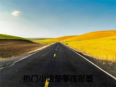 楚筝沈京墨（楚筝沈京墨小说）全文免费阅读无弹窗大结局_楚筝沈京墨小说最新章节列表_笔趣阁（楚筝沈京墨）