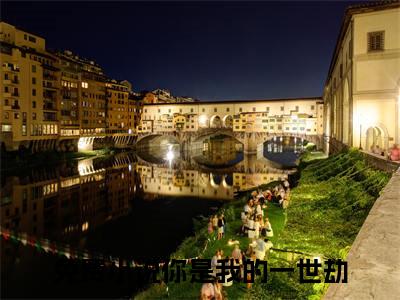 天玄凤素羽（你是我的一世劫）2023最火小说全文-（你是我的一世劫）天玄凤素羽小说完整版免费阅读