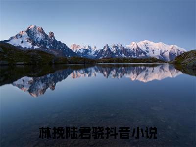 林挽陆君骁独家小说-林挽陆君骁无删版小说推荐