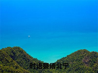时语婴傅北宁精彩章节在线阅读-时语婴傅北宁美文欣赏