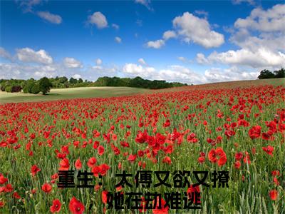陆想容周云易全文(重生：太傅又欲又撩，她在劫难逃)小说免费阅读无弹窗大结局_ 陆想容周云易全文无弹窗完整版阅读