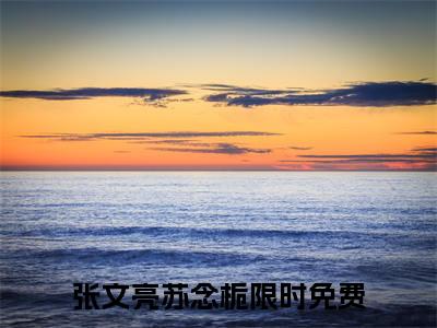 张文亮苏念栀（张文亮苏念栀）精彩热门小说无弹窗-张文亮苏念栀全文免费阅读