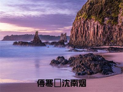 （锥心）全网热搜是什么小说_锥心小说（傅寒璟沈南烟）热门章节阅读无弹窗_笔趣阁（傅寒璟沈南烟）