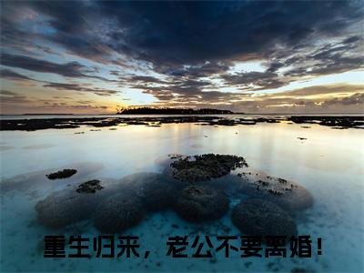 重生归来，老公不要离婚！全文免费阅读_重生归来，老公不要离婚！（夏芊芊墨南爵免费阅读无弹窗）夏芊芊墨南爵最新章节在线阅读笔趣阁