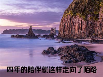 四年的陪伴就这样走向了陌路(舒黎月肖昀)免费全文阅读小说_（四年的陪伴就这样走向了陌路）舒黎月肖昀最新章节列表-笔趣阁（四年的陪伴就这样走向了陌路）