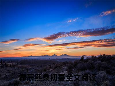 霍辰熙桑初蔓全文免费(霍辰熙桑初蔓)全集小说完整版大结局-霍辰熙桑初蔓全文阅读无弹窗