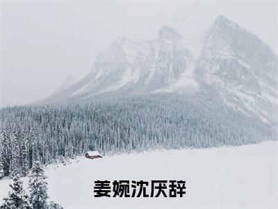 姜婉沈厌辞小说（姜婉沈厌辞）全文免费阅读无弹窗_姜婉沈厌辞小说_笔趣阁