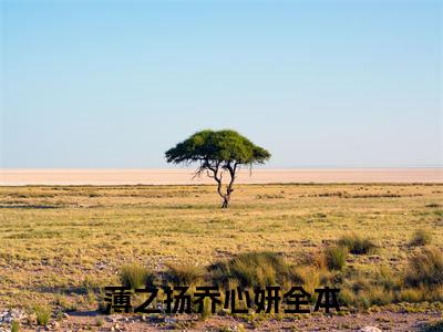 薄之扬乔心妍(薄之扬乔心妍小说)全文免费阅读无弹窗大结局_(薄之扬乔心妍小说免费阅读全文大结局)最新章节列表_笔趣阁（薄之扬乔心妍小说）