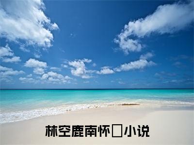 林空鹿南怀璟(林空鹿南怀璟）小说全文免费阅读无弹窗大结局_（林空鹿南怀璟）林空鹿南怀璟小说全文免费阅读最新章节列表笔趣阁（林空鹿南怀璟）