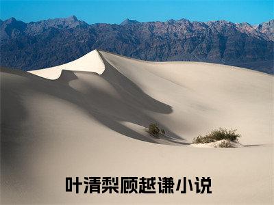 叶清梨顾越谦精彩章节免费阅读_叶清梨顾越谦抖音热推小说最新章节阅读