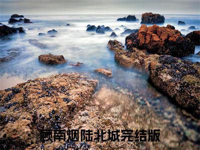 顾南烟陆北城全文免费阅读大结局-顾南烟陆北城最新章节免费阅读大结局