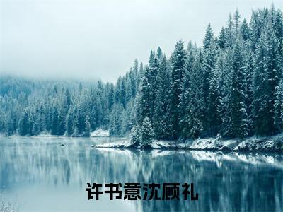 许书意沈顾礼热门小说最新章节阅读-老书虫书荒推荐热点小说（许书意沈顾礼）