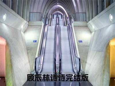 顾辰林诗诗（顾辰林诗诗）小说推荐精彩章节全文阅读-热门小说顾辰林诗诗精选章节阅读