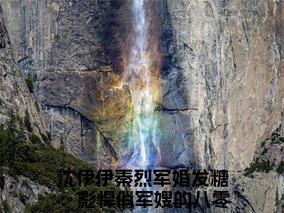 沈伊伊秦烈（军婚发糖：彪悍俏军嫂的八零年代）精彩热门小说-沈伊伊秦烈全章节免费阅读